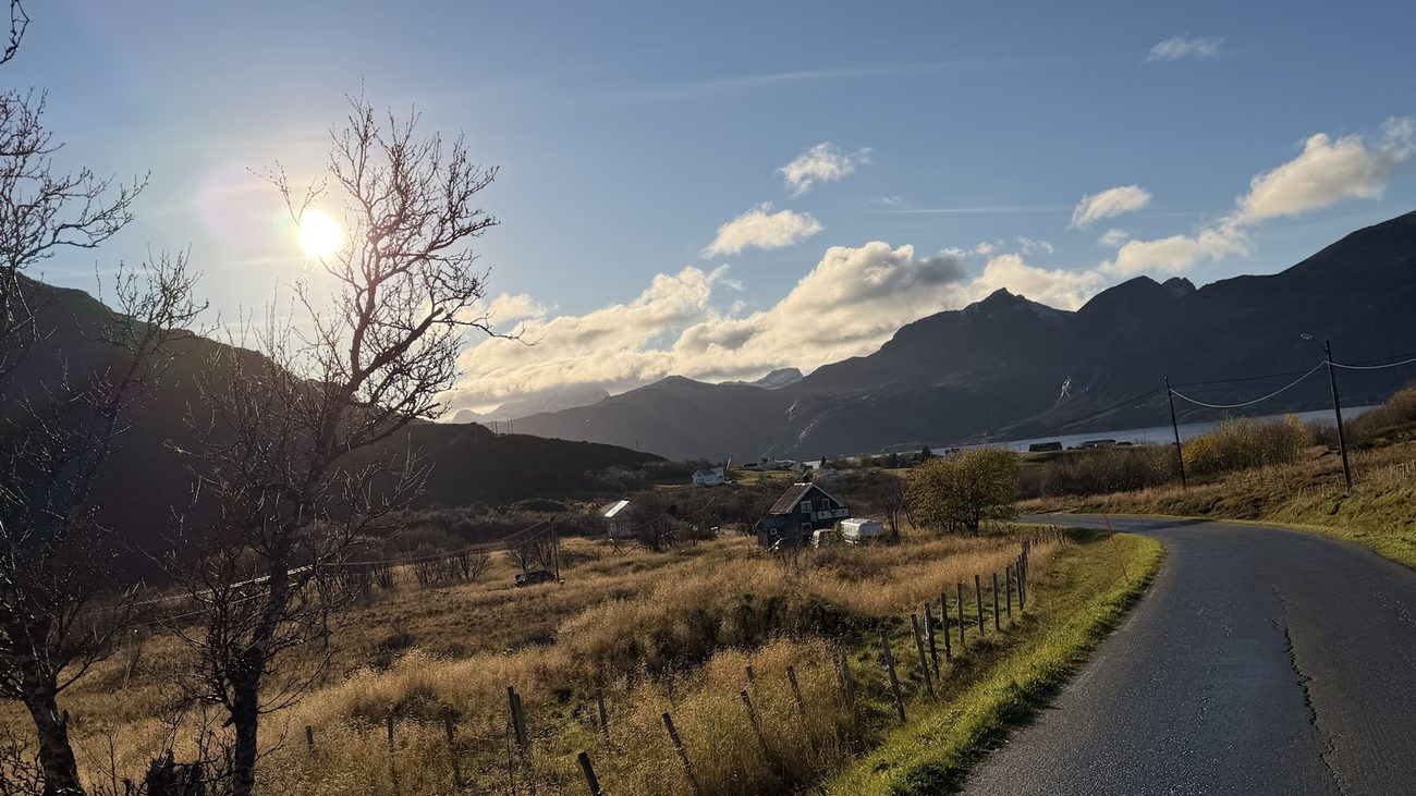 Vei gjennom gult gress i lav høstsol, med fjell og sjø bak