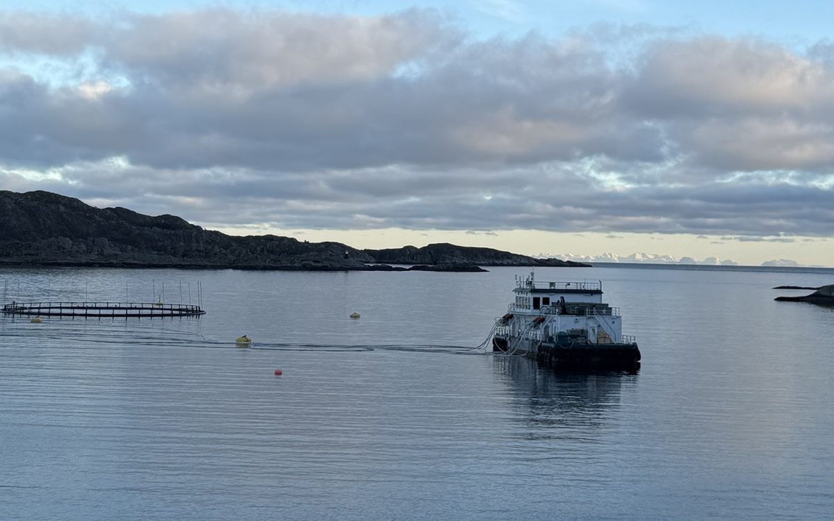 Fôrflåte og merd i sjøen i Lofoten